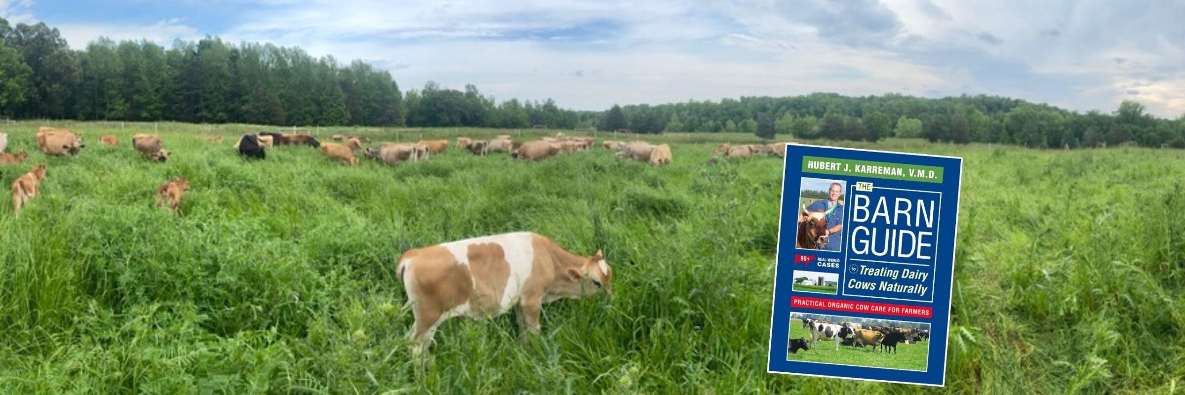 Book Holistic and Natural Health Veterinarian