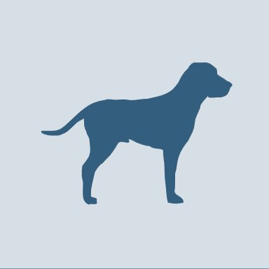 Dog physical exam online booking