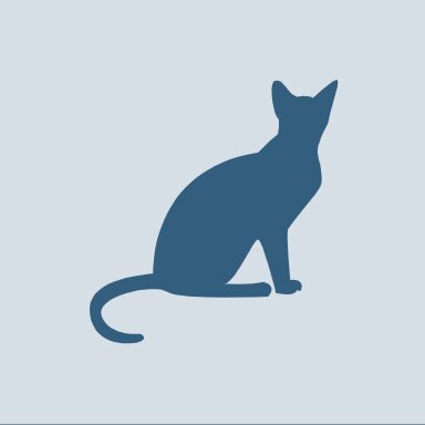Cat physical exam online booking